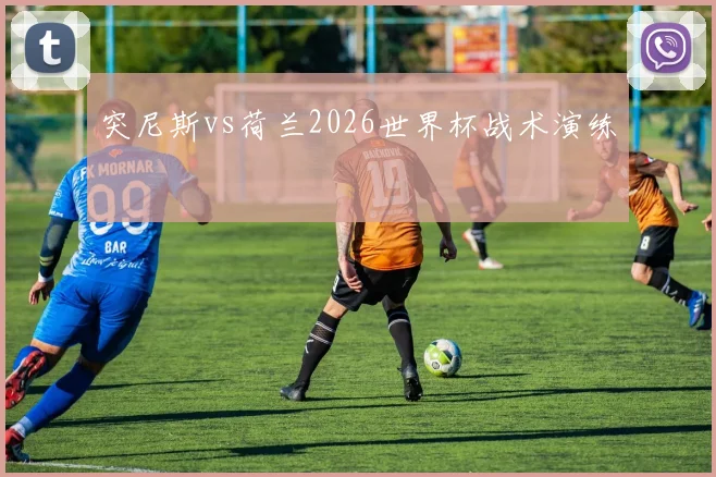 突尼斯vs荷兰2026世界杯战术演练