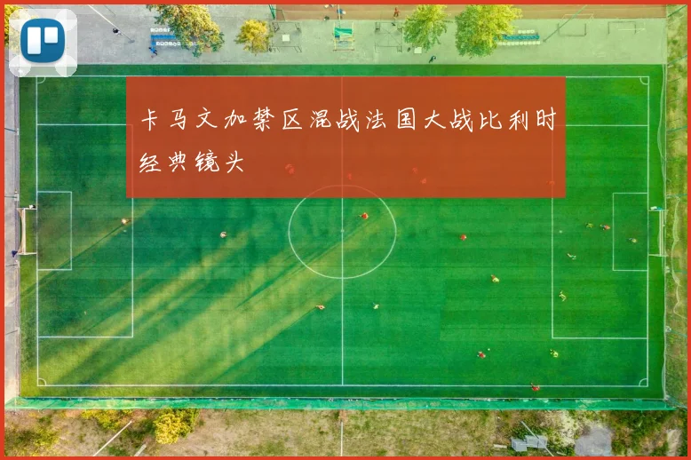 卡马文加禁区混战法国大战比利时经典镜头
