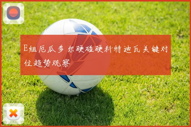 E组厄瓜多尔硬碰硬科特迪瓦关键对位趋势观察