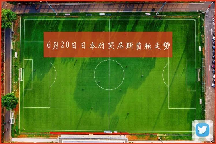 6月20日日本对突尼斯首轮走势